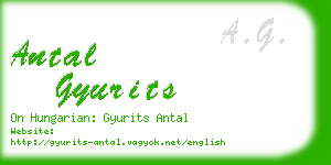 antal gyurits business card